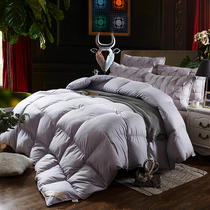 Duvet 95 white goose down cotton quilt quilt quilt core winter quilt spring and autumn thickened warm five-star hotel