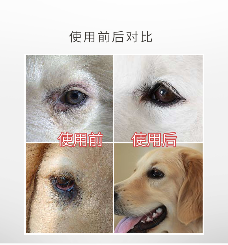 Thuốc nhỏ mắt Dog rửa mắt kháng khuẩn làm sạch nước mắt đến mí mắt Teddy cung cấp vật nuôi không nhỏ mắt - Thuốc nhỏ mắt thuốc nhỏ mắt refresh