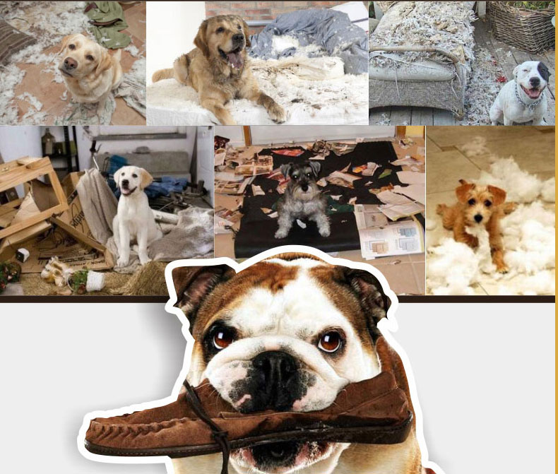 Chó mole dính vật nuôi kháng cắn Teddy Golden Retriever chó nhỏ chó con chó nhai xương nhựa Yahe đồ ăn nhẹ 30 gậy - Đồ ăn vặt cho chó thức ăn cho chó royal canin