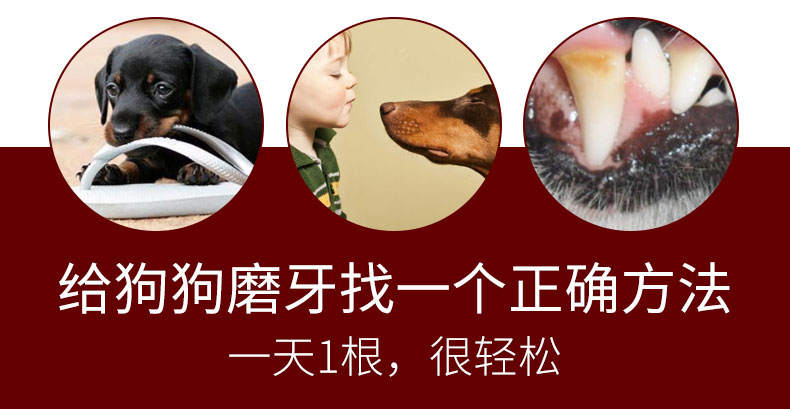 Hơi thở hôi xương chó lông vàng chó lớn chó sạch răng hàm que Teddy thú cưng chó nhai chó ăn vặt - Đồ ăn vặt cho chó thuc an cho cho
