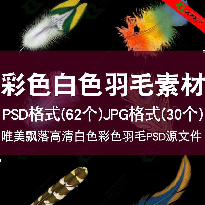 PS material beautiful falling high-definition white color feather down psd source file art design material