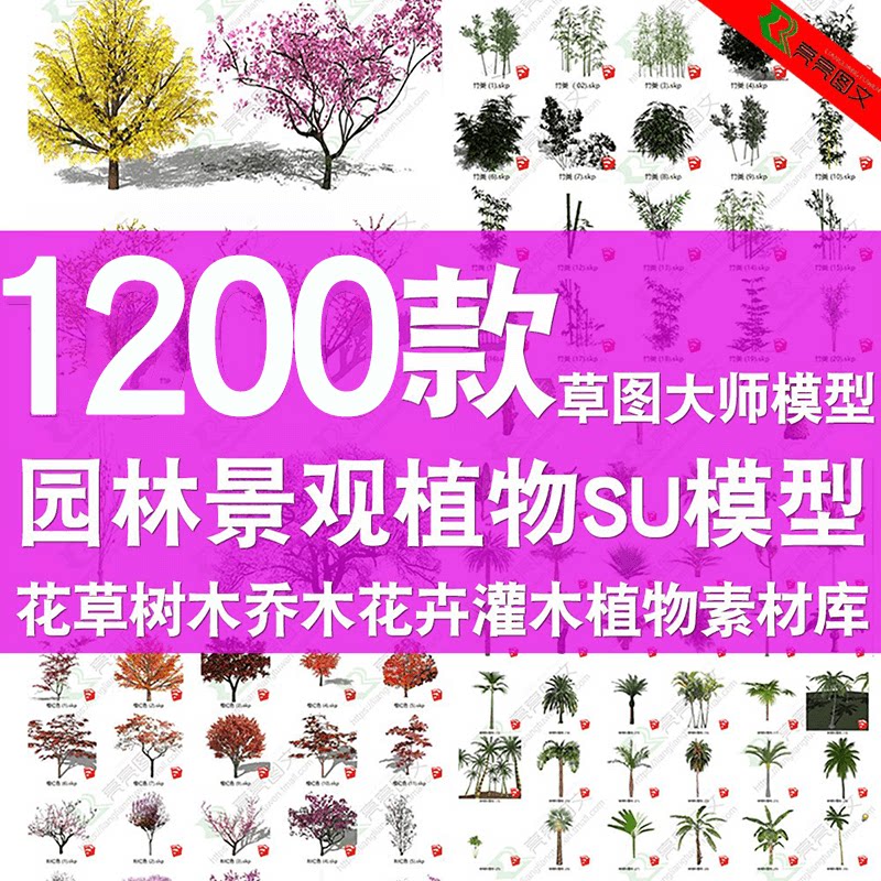 SUMMARY MASSULTURE FLOWER MASSURE FLOWER FLOWER BUILLING Sketchup