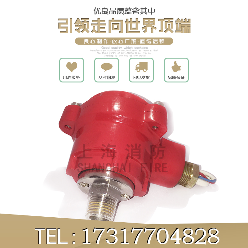 BZSJY fire explosion protection pressure switch with certificate rain shower valve assorted DN15 double contact point DC24V