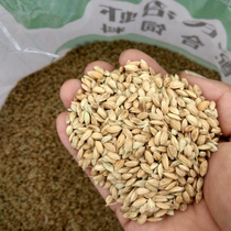 20 years of rice rice chicken pigeons birds pet feed full shelled rice rice high-quality farmers new goods