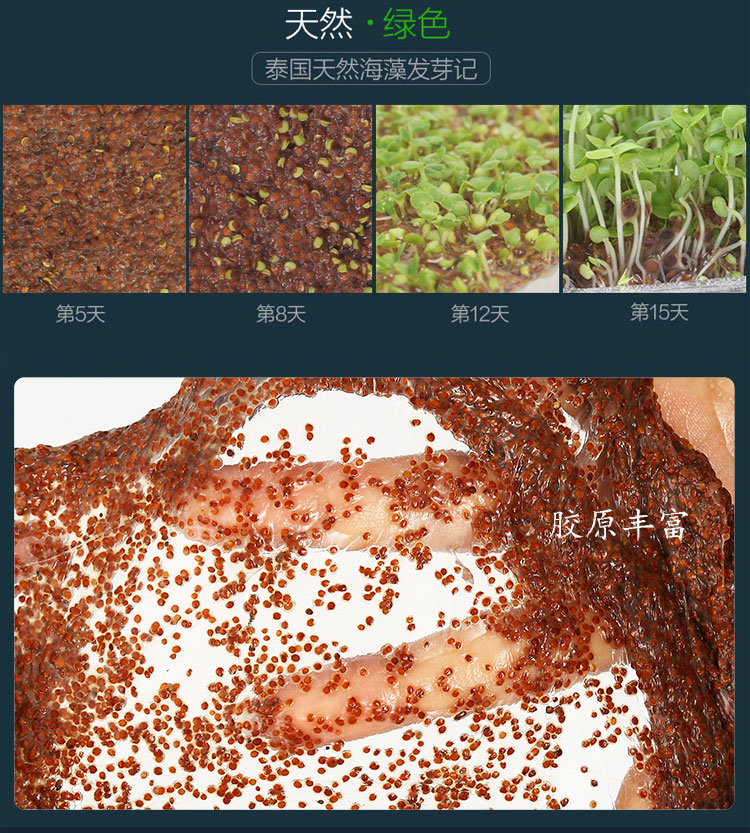 Thái Lan nhập khẩu 1000g mặt nạ rong biển lớn dưỡng ẩm tự nhiên trị mụn cho bà bầu dùng một lần bùn rong biển nguyên chất - Mặt nạ mặt nạ trà xanh