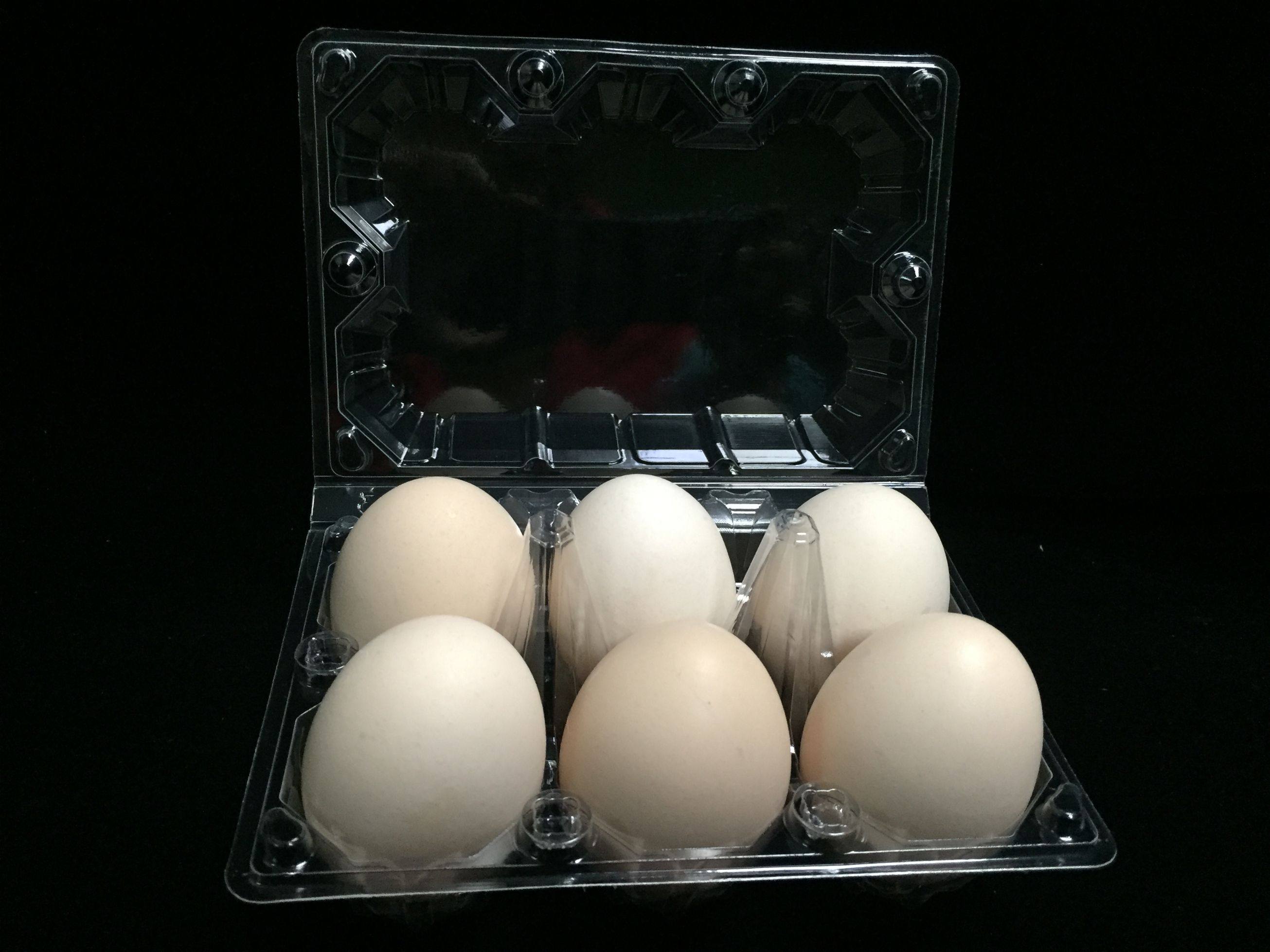 Factory direct sales of 6 medium-sized egg trays, foreign eggs, blister egg boxes, preserved egg packaging boxes, transparent plastic trays