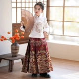 Детская демисезонная юбка, утепленный комплект, зимнее ханьфу