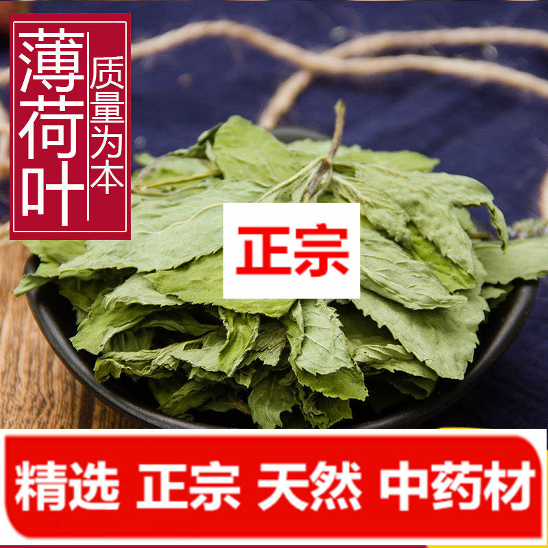 Selected authentic Tongrentang raw materials new goods Chinese herbal medicine mint leaf tea 500g natural sulfur-free fresh dry