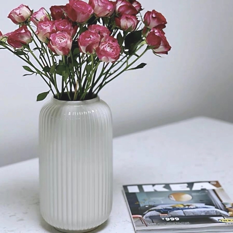 Vertical Striped Mesh Red Modern Minimalist Home Hydroponic Vases Vases Living-room Floral Home Ceramic Vases White Trim