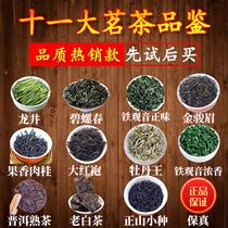 2023新茶爆款高端茶叶试喝品鉴装各种性价比茗茶茶样组合自己喝