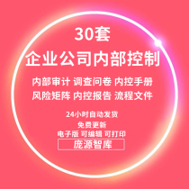 Enterprise company Internal Control Manual information internal control report risk matrix flow chart draft complete editable.