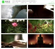 HD real shot video material Humanistic life wheat field rowing etiquette spray water bathing Lotus monkey dance