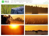 HD real shot video material beautiful golden evening natural scenery birds flowers fragrance wild flowers wild grass breeze sunshine