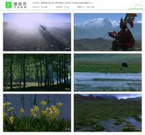 Wild Grass Ranch Snow Mountain Yak Flock National Yangtze River Shelterbelt Waterfowl HD Video Material