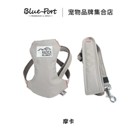 Мокко цветная сундук и спина