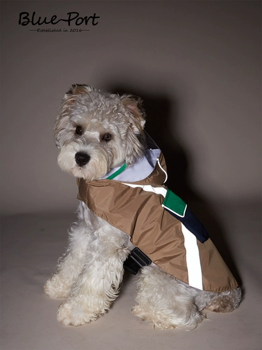 Удобство для собак Blueport Commonience Raint Paint Paint Paint Paint Paint Paint Paint Paint Paint Paint Paint Paint Paint Paint Paint Paint Paint Paint -Plound Winderablet Offercective с капюшоном и дождливыми питомцами для путешествий для перемещения