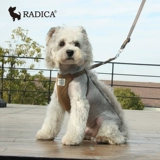 Япония Lotte Radica Pet Kokudura Bare Betlin Live Маленькие и маленькие собаки, ходящие собаки и грязная защита