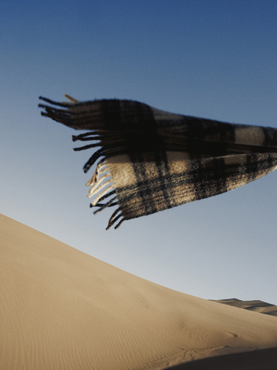 Edition Scarf for Women 2025 Winter New Style Wool Camel Hair Plaid Tassel Scarf Ebe4Scf005