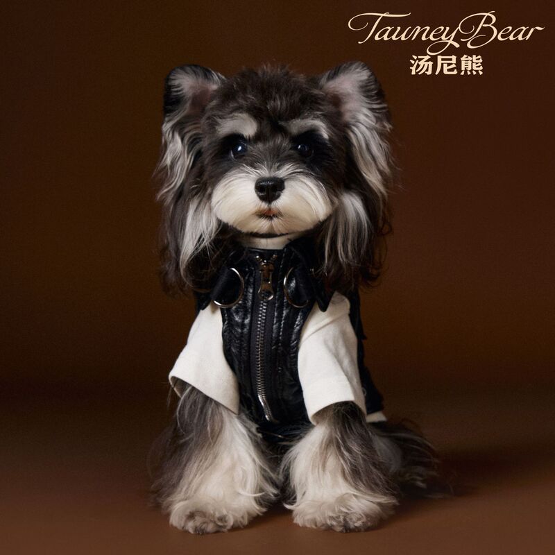 Dog Clothes Autumn and Winter Workwear Vest Leather Jacket Schnauzer Bichon Teddy Dachshund West Highland Corgi Small Dogs Dog Clothes Autumn and Winter Workwear Vest Leather Jacket Schnauzer Bichon Teddy Dachshund West Highland Corgi Small Dogs