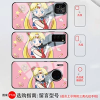 Фавориты+покупка = приоритетная индивидуальная PT26 Рисунок [Стеклянная оболочка] Модель сообщения