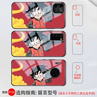 Фавориты+покупка = приоритетная индивидуальная PT25 Рисунок [Стеклянная оболочка] Модель сообщения