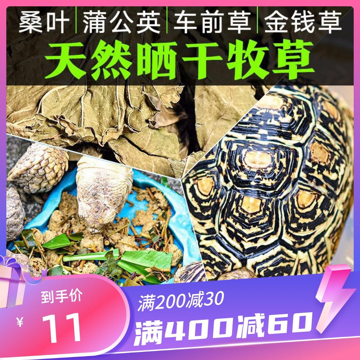 Natural Drying Gold Money Grass Clover Clover Dandelion Printed Star Sukada Four Paws Herman Prevents Calculus