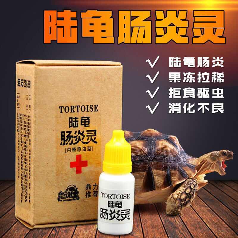 Climbing Tortoise Enteritis Effectively Treats Anti-Enteritis Anti-Larry Prevention and Red Leg Ran