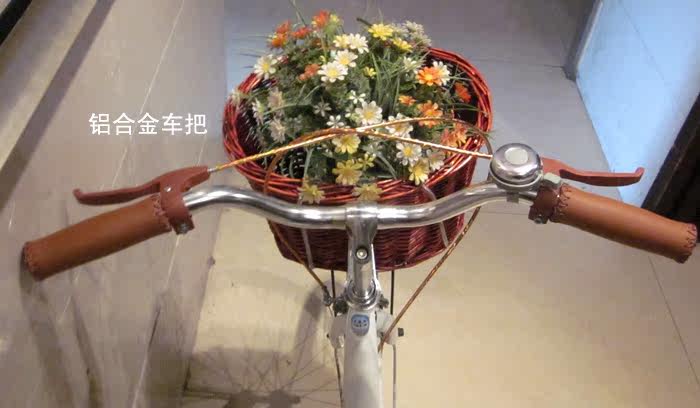 Panier pour vélo - Ref 2257922 Image 5