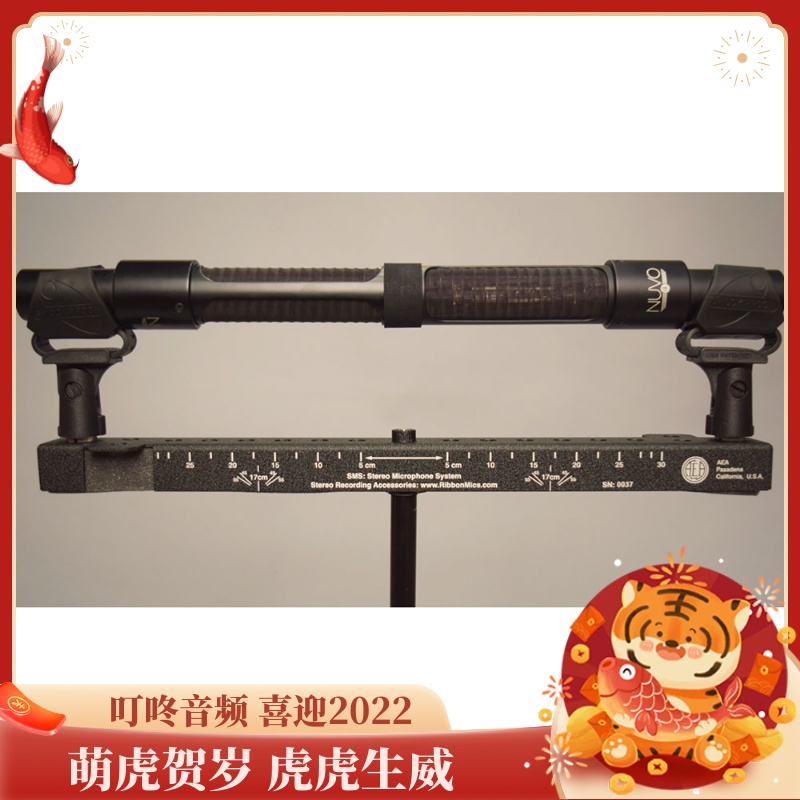 Microphone set With stereo microphone AEA N22 Stereo + Nuvo stereo kit