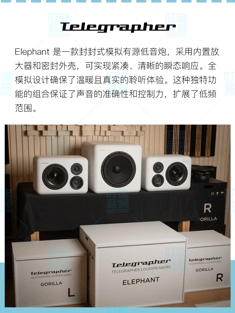 图片[2]-Telegrapher Elephant-宸音商城 - 编曲混音资源站及官方在线商城