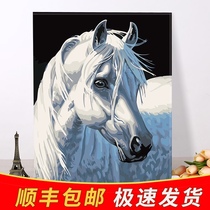 diy digital oil painting living room abstract animal Large-scale entrance Ink digital hand-painted coloring decorative hanging painting horse