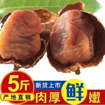 New Putian dried lychees 500g*5 bags with small core and thick meat Fujian non-seedless dried lychees 5 pounds