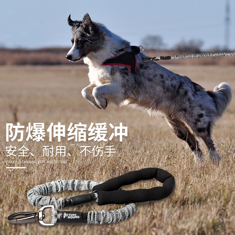 Dog Necklace Dogs Traction Rope Large Medium Size Small Dog Breast Cuddling Bag Teddy Gold Wool Walking Dog Rope Pet Supplies