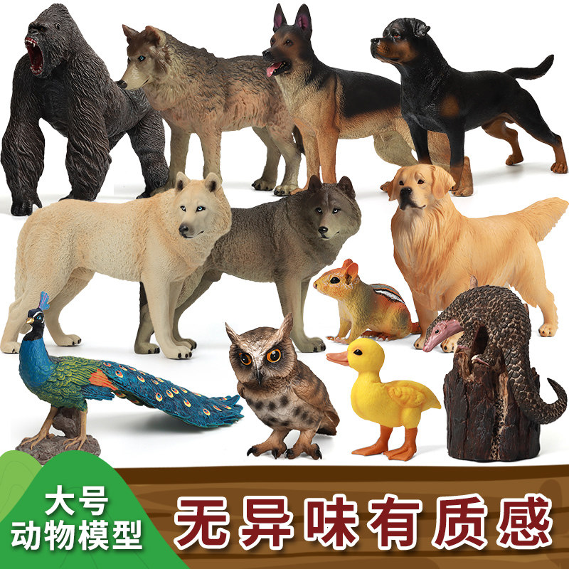 Simulated large animal model toy fittings show peacock owl piercing pangolin children cognitive gifts