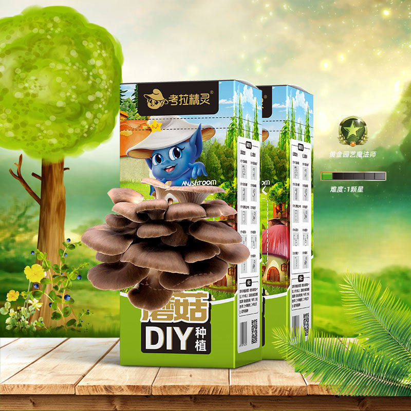 2 box koala elf mushroom DIY pocket mushroom planting garden culture mushroom children 3 years old 6 kindergarten gift
