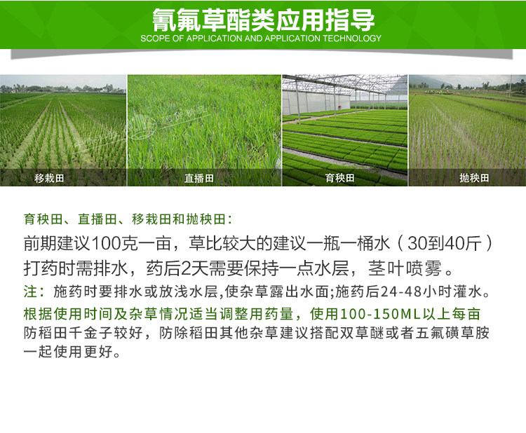Dao Dao Shun Details Page new_06.jpg
