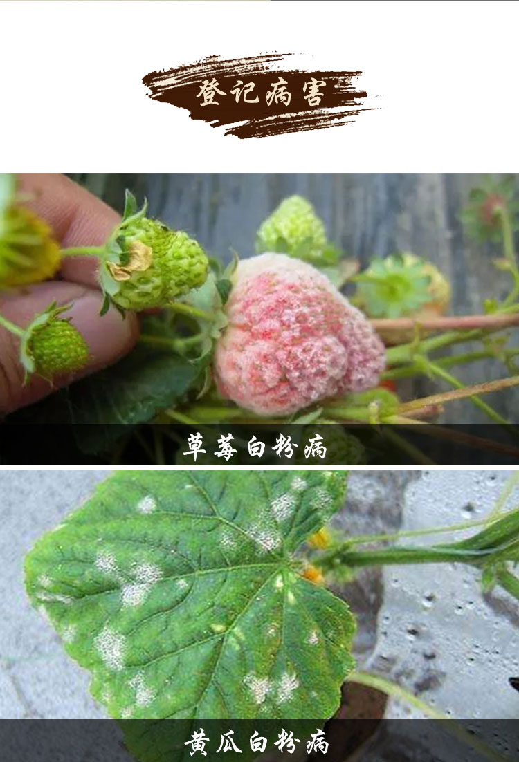 Du fu ling details_03.jpg