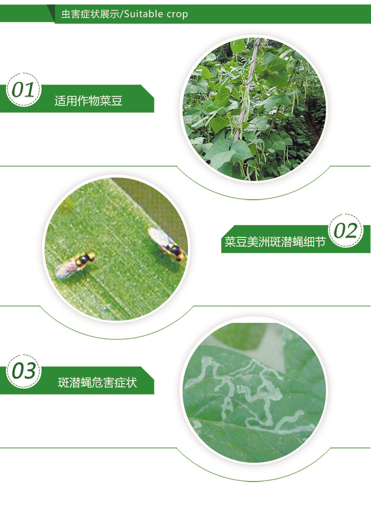 Paea Qianqing подробностей new_04.jpg