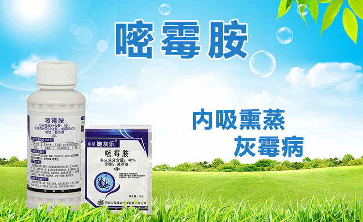 [施灰乐详情(最新)_01.jpg]