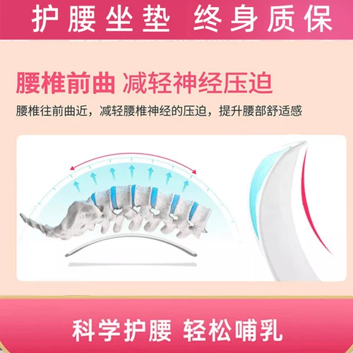 Стул кресла для млекопитающих