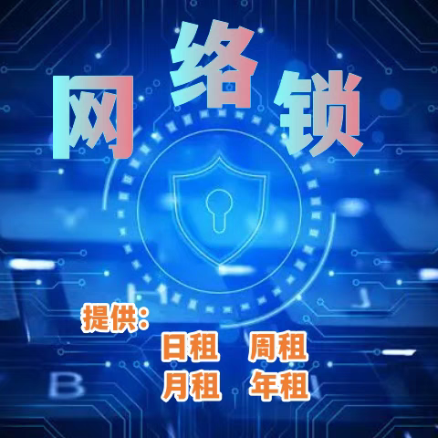 正版网络锁总店