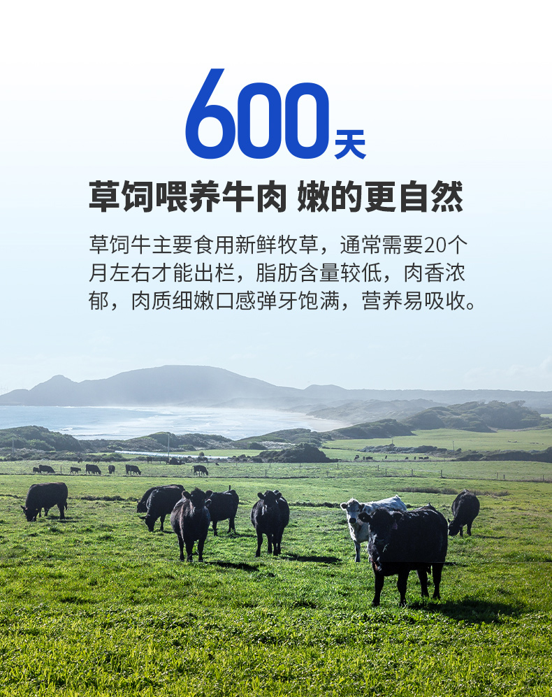 【小牛凯西】原肉整切牛排150*4片