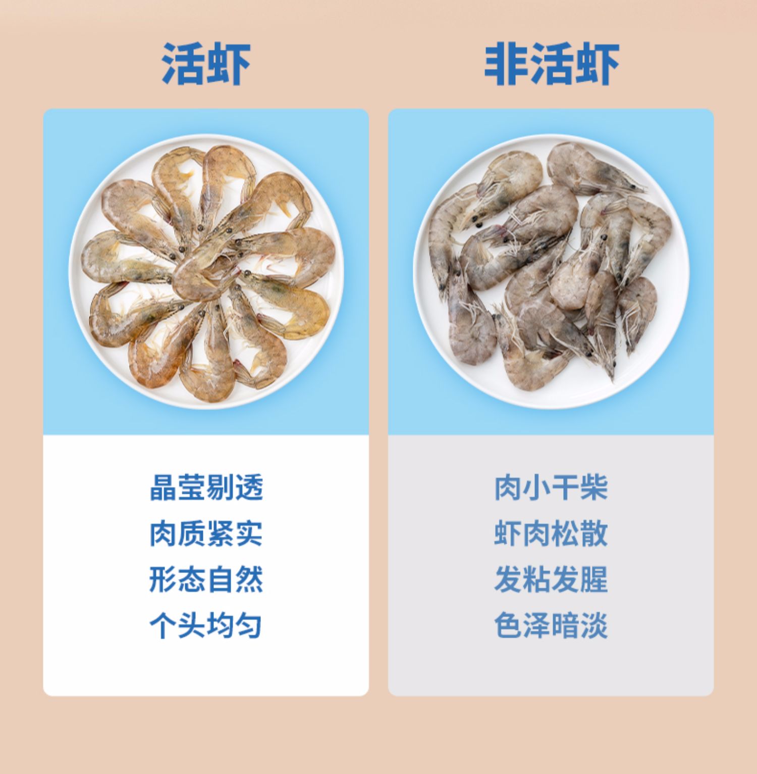 小牛凯西旗舰店鲜冻大虾仁750g