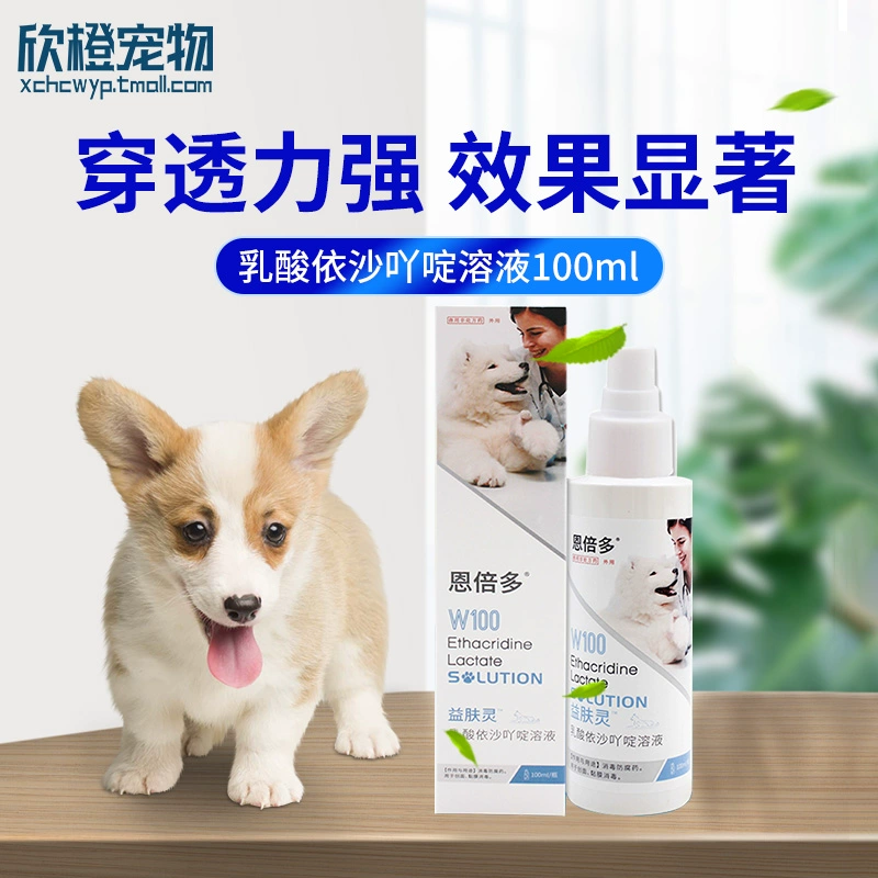 Enbeiduo Dung dịch Enosa nên được phun 100ml da chó bệnh mèo mèo rêu vi khuẩn nấm phun thuốc chống ngứa - Cat / Dog Medical Supplies