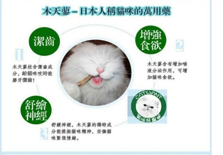 Cat Mong trang trại thú cưng đồ ăn nhẹ gỗ bọ cạp tốt gậy răng hàm làm sạch răng mèo ăn nhẹ 5 gậy mèo mol - Đồ ăn nhẹ cho mèo royal canin cho mèo con