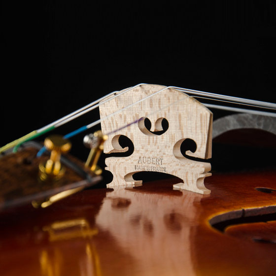 크리스티나 S600B 수입 유럽 바이올린 전문 등급 시험 연주 등급 수제 바이올린