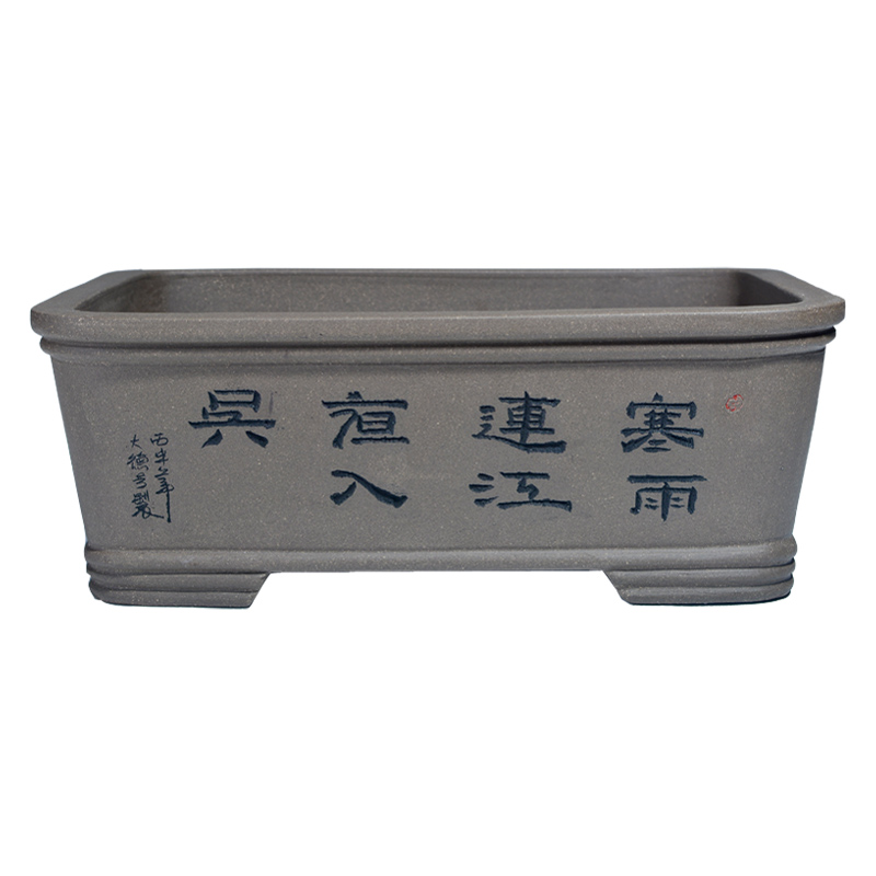 Violet arenaceous oblong flower POTS potted potted plant suitable for green, the plants banyan flos mume flower five hieroglyphics