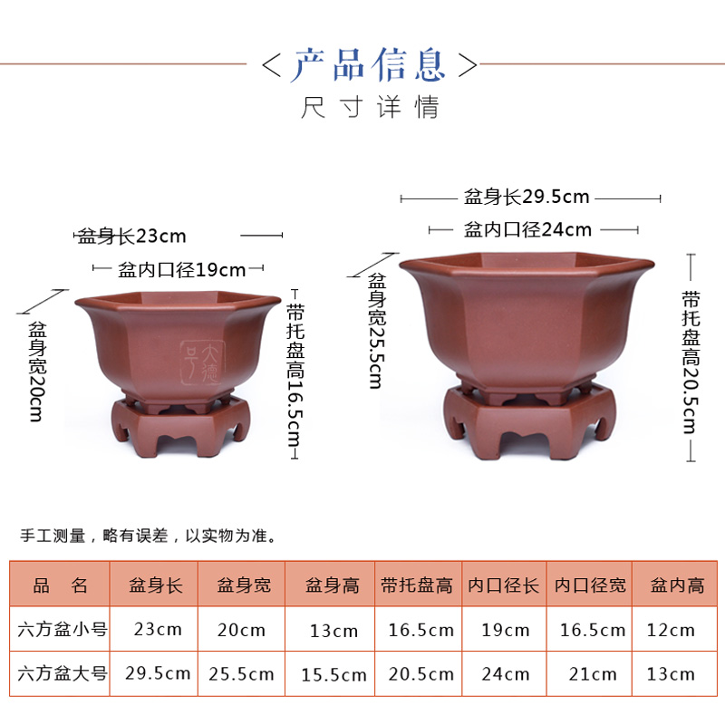 Purple orchid flower POTS yixing potted potted clivia indoor ponies six - party bluegrass basin size tray