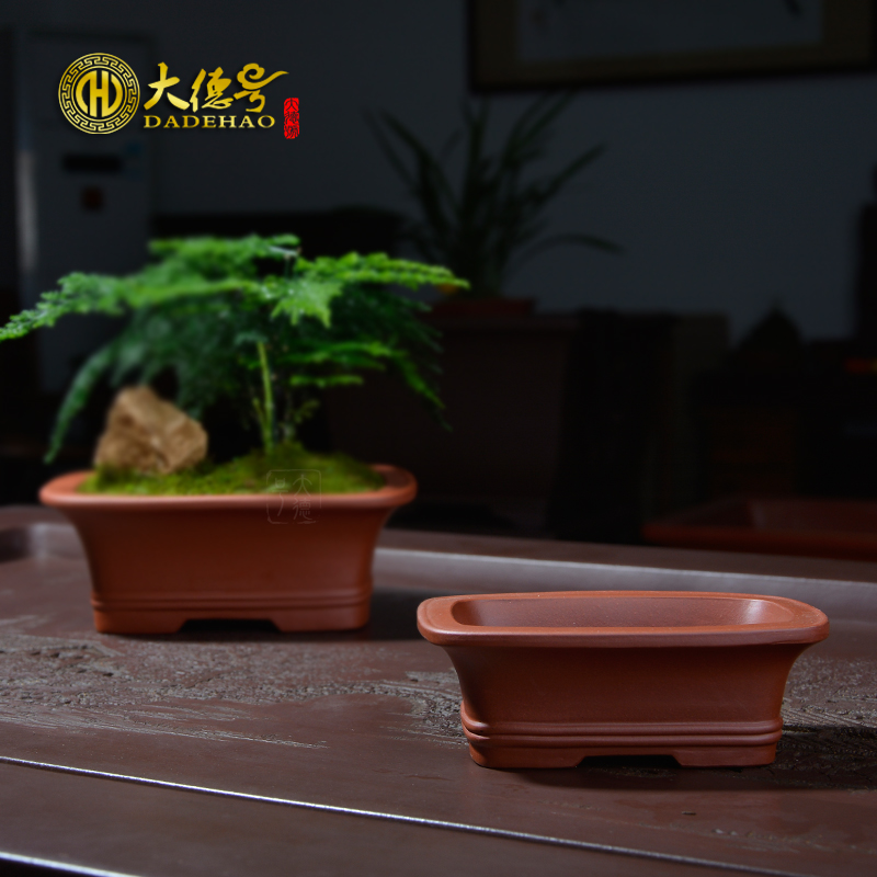 Asparagus pot of purple sand flowerpot yixing boutique small bonsai pot size rectangular fleshy green plant calamus basin