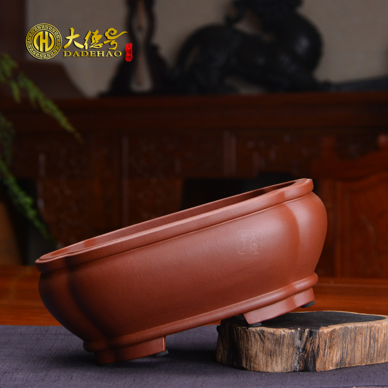 Haitang flowers purple sand flowerpot flower pot contracted fine ceramics, fleshy Chinese wind, green potted bonsai pot room